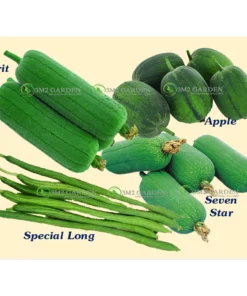 Combo 4 loại hạt giống mướp Đài Loan (MỖI LOẠI 3 HẠT) giống năng suất ngon ngọt